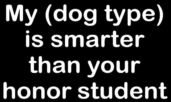 My dog is smarter than your honor student Decal Sticker  