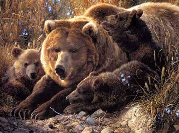 Sale great wild animal oil paintingBears  