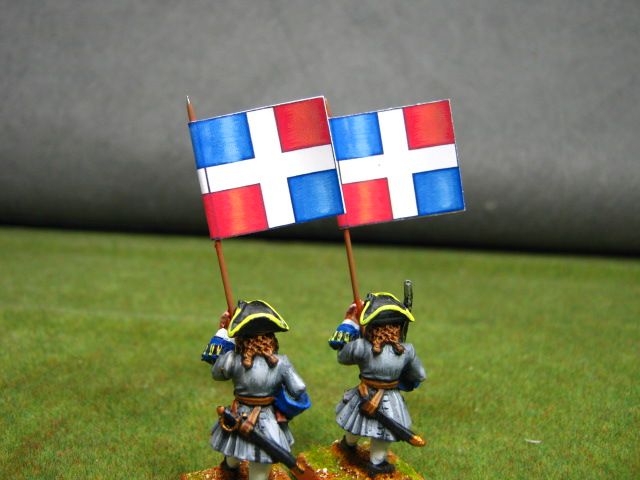 28mm WSS DPS painted French Musketeer Battalion FMFR002  