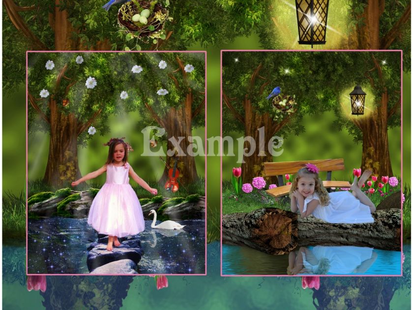 DIGITAL FANTASY BACKGROUNDS/ BACKDROPS/ photo props  