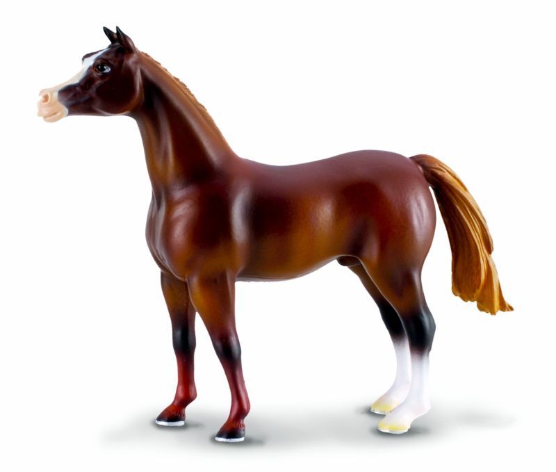 COLLECTA Horses ARABIAN STALLION BROWN Horse 88099 NEW  