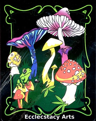 Psychedelic Mushrooms 100% Cotton Tapestry Decorative Wall Hanging 