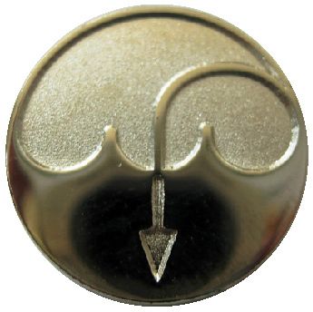 Baptismal Symbol Nickel Lapel Pin lds mormon  