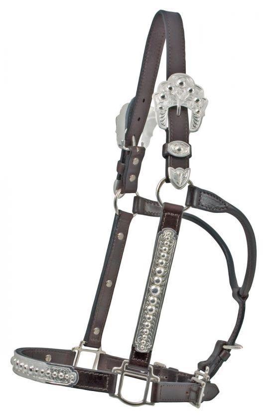 Billy Royal Silver Plated Domed Raised Show Halter (Small)  
