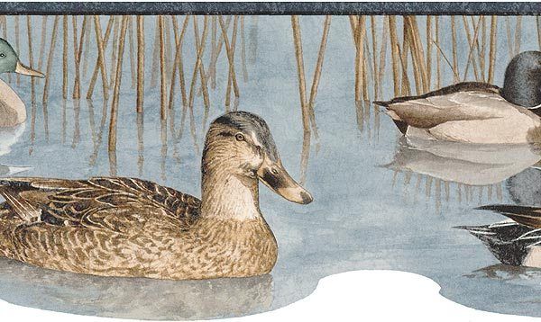 MALLARD DUCKS Wallpaper Border & Companion SPANGLES  