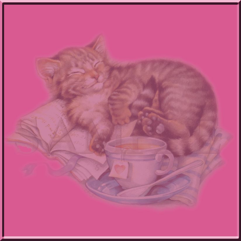 Kitten & Teacup Kitty Cat Cute WOMENS SHIRTS S XL,2X,3X  