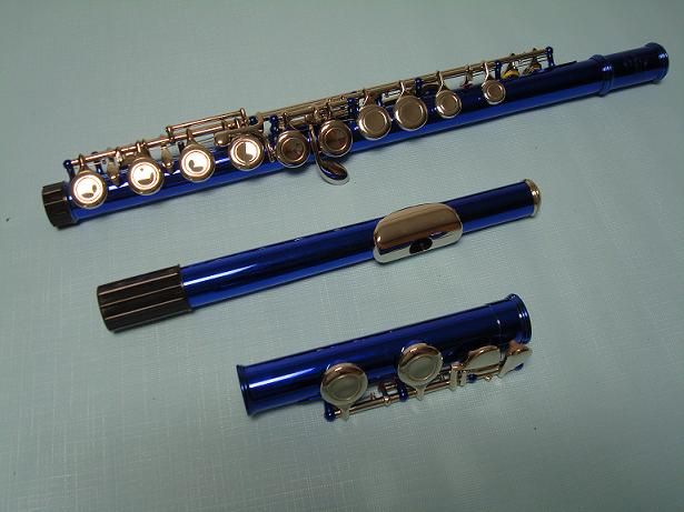 High Quality School Band Blue Flute Brand New  