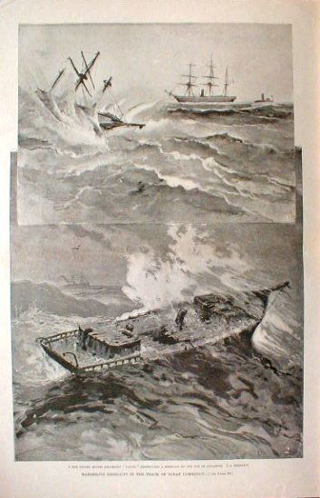 1893 Ocean Commerce Safety Destruction Derelict Ships  