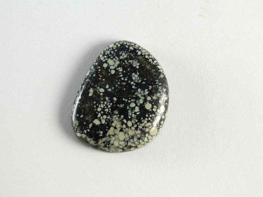 New Lander turquoise cabochon black yellow unique  