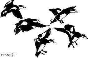 WIGEON WIDGEON DUCK DECOYS DECAL DECALS FLOCK B/W SM  