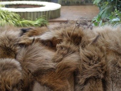 Luxury real COYOTE fur blanket throw 220x205cm  