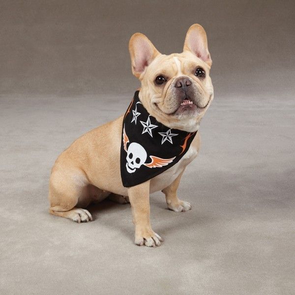 Aria Ruff n Tuff Dog Bandanas Skull, Star, Flame 22 SQ  