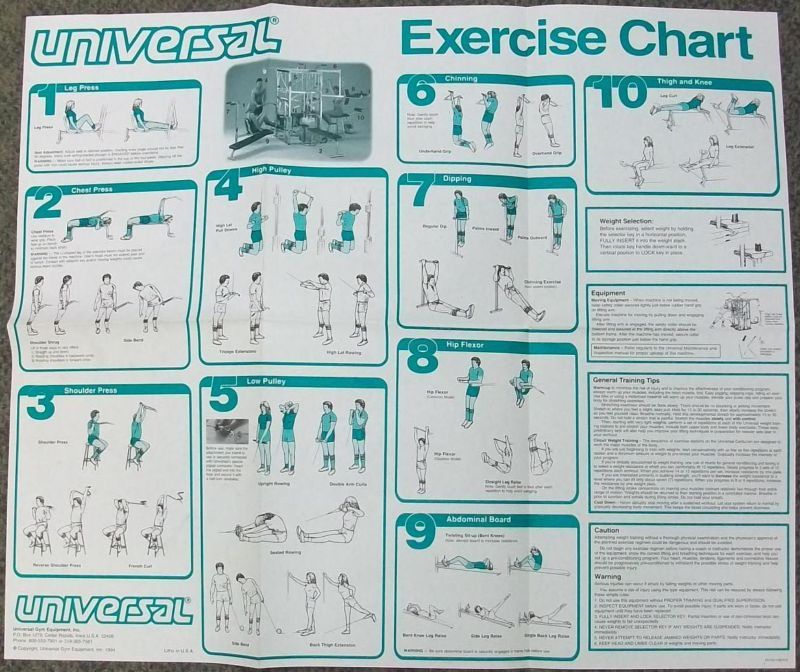 Universal Gym Equipment Exercise Chart Poster Centurion  