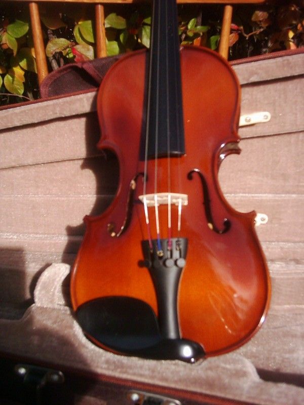 these quality built violins are the prettiest student violins 